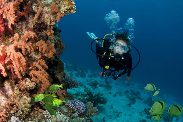 Scuba Diving