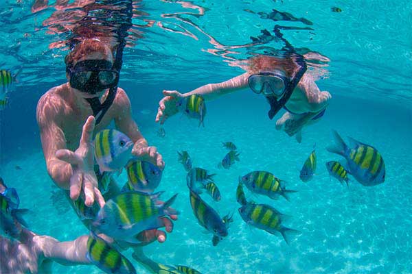 Snorkeling